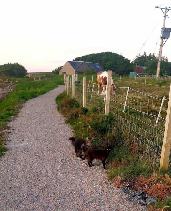 Isla'S Cottage Stornoway  Kültér fotó